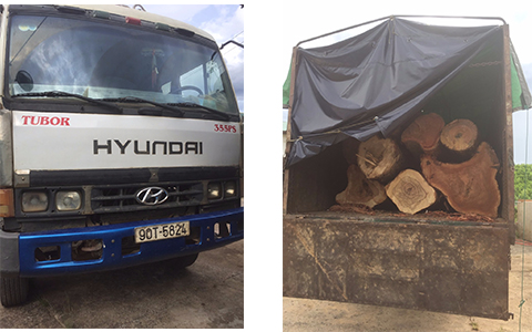 Bắt giữ một xe ô tô tải mang biển kiểm soát 90T-5824  vận chuyển lâm sản trái pháp luật trong đêm
