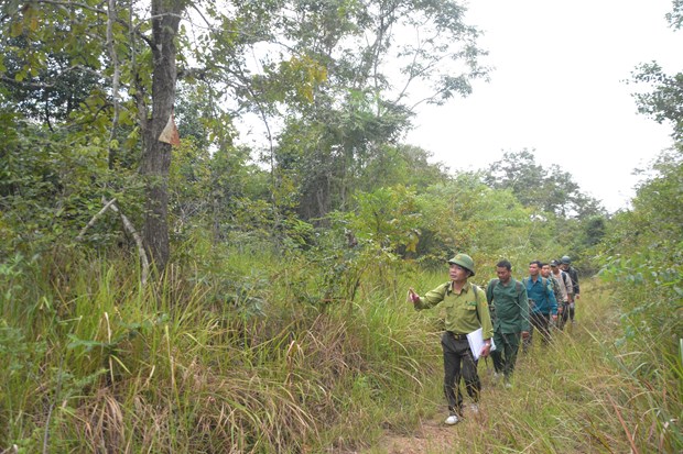 vna_potal_tang_cuong_bao_ve_khu_bao_ton_thien_nhien_ea_so_dak_lak_7159383_1