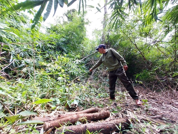 vna_potal_tang_cuong_bao_ve_khu_bao_ton_thien_nhien_ea_so_dak_lak_7159400