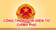 Cổng thông tin chính phủ
